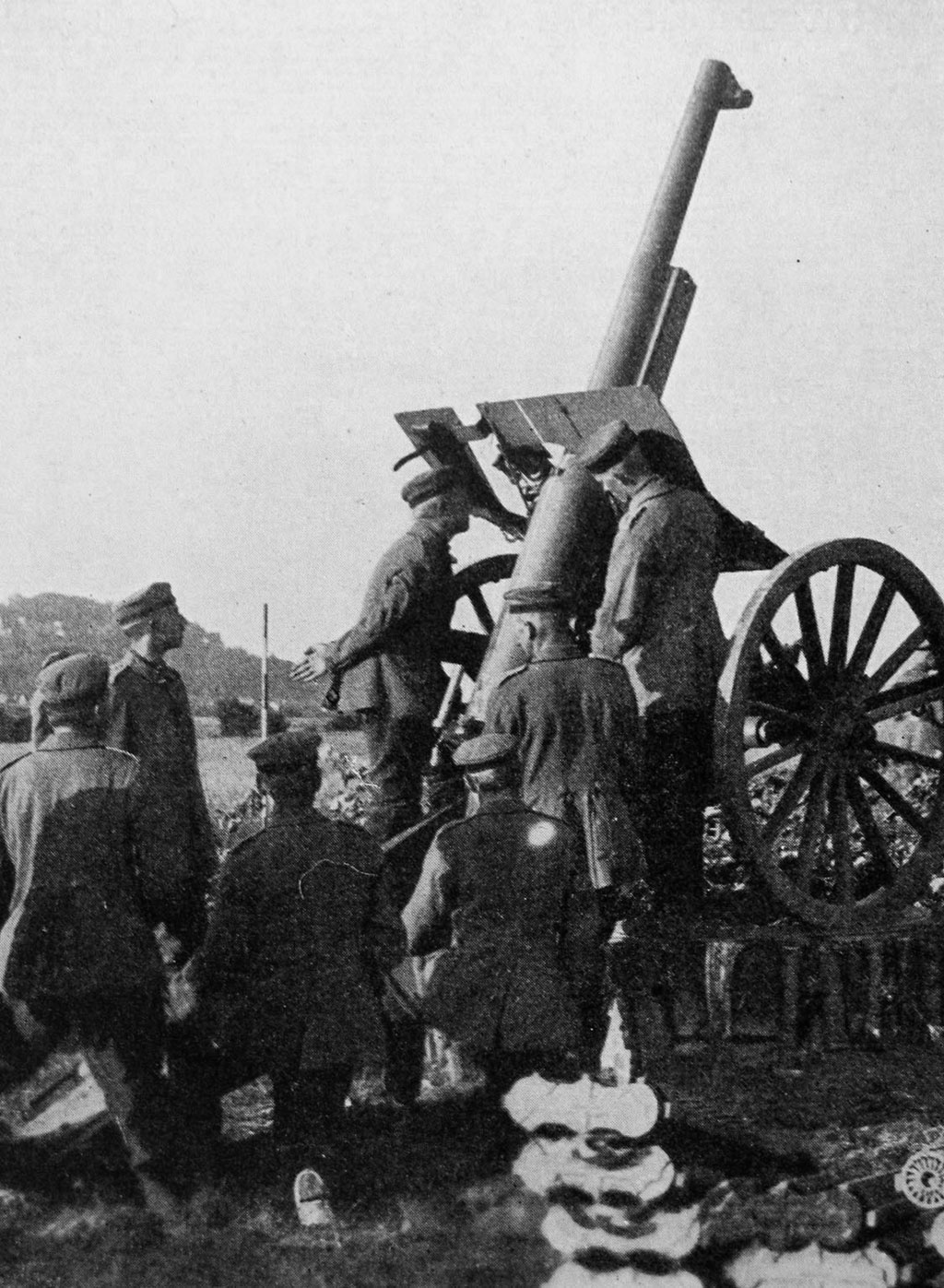 Die Entwicklung der deutschen Flakwaffe unter Berücksichtigung ihrer Verwendung in der Schlacht von Verdun